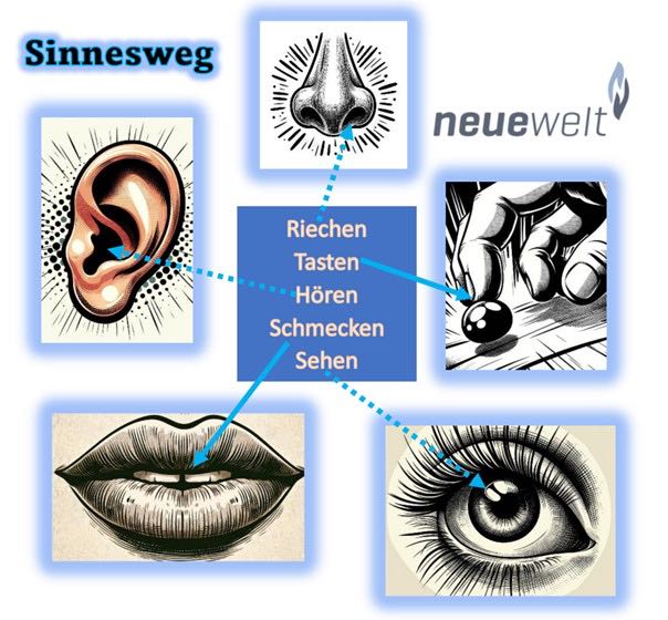 Auf dem Bild sind die 5 Sinne abgebildet in Form von einer Nase für riechen, einem Ohr für hören, einem Mund für schmecken, einem Auge für sehen und einer Hand für tasten. Dazu steht noch der Name der Aktion «Sinnesweg» und der Name der Institution «neuewelt».